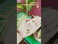 Filpkart Anti tarnish jewellery haul 🌝#trendingshorts #trending #jewellery #filpkart #necklace