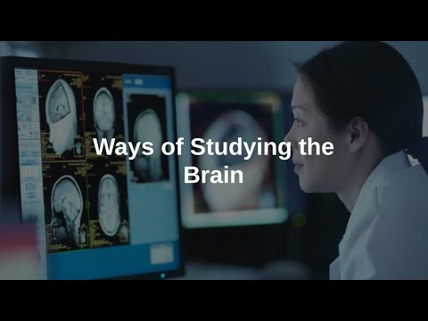 Ways of Studying the Brain - YouTube