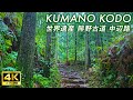 【4K 日本を散歩】雨降る世界遺産 熊野古道 中辺路 自然と歴史が織りなす美しい風景 人気ルート 発心門王子〜熊野本宮大社