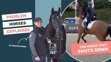 The horse that SHUTS DOWN | Problem Horses Explained | S1E1