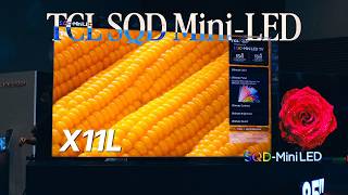 Мини-LED-телевизоры от TCL SQD наконец-то в продаже! TCL X11L, C8L, C7L! 🔥