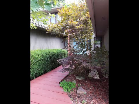 109 Holly Ridge Ln, Columbia, MO home video tour