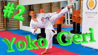 Yoko Geri #2 Formimg an optimal trajectory while standing still Stage 1 #karate #piatsko #kick #yoko