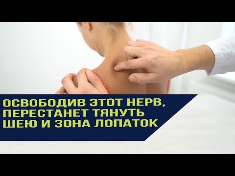 Защемление этого нерва всегда будет тянуть в шее и болеть в лопатке.