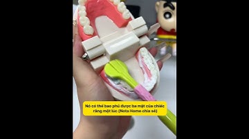 Khám Phá Bàn Chải Đánh Răng Ba Mặt: Điều Kỳ Diệu Cho Nụ Cười #notahomevn #home #dogiadung #care