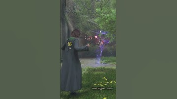 Do Not Do This to Cats in Hogwarts Legacy or Else