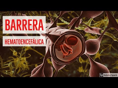 Vídeo: Diferencia Entre La Barrera Hematoencefálica Y La Barrera Sanguínea Del LCR