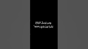 أمن يجيب المضطر اذا دعاه #اكسبلور #ترند #ثانوية_عامة #تلاوات #قرآن #قران_كريم