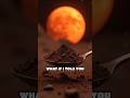 Could Bacteria Reveal Life on Mars?
