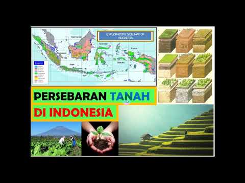 Geo X. 26. Jenis-jenisTanah & Persebarannya Di Indonesia.