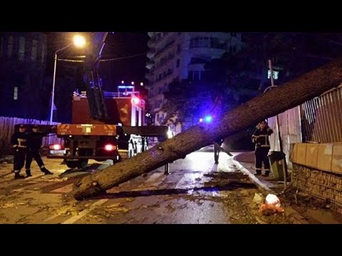 Ураган в Тбилиси: город всю ночь очищали от мусора