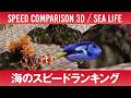 海の生物最速ランキング／3D アニメーション／SPEED COMPARISON 3D Sea Life