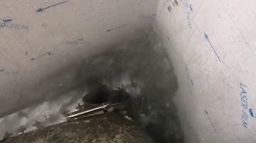 EMR98 PLUS DPF Cleaner Machine with Mercedes Axor Scr Cleaning Process