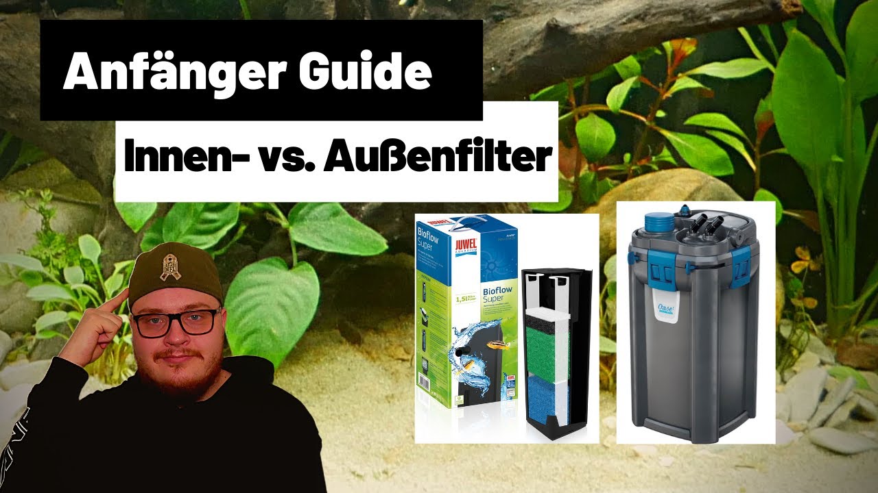 Wie Verstecke Ich Einen Innenfilter Im Aquarium Innenfilter vs Außenfilter | Anfänger Aquarium Guide #3 - YouTube