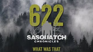 SC EP:622 What Was That