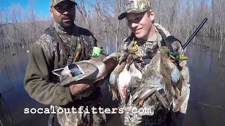 Southern california isn't know for hunting ducks in the timber but
when massive storms hit pacific coast is place to be!!! watch as we
sho...