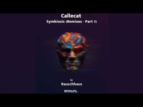 Callecat, Fabri Lopez - Mutual Horizons (Rauschhaus Remix)