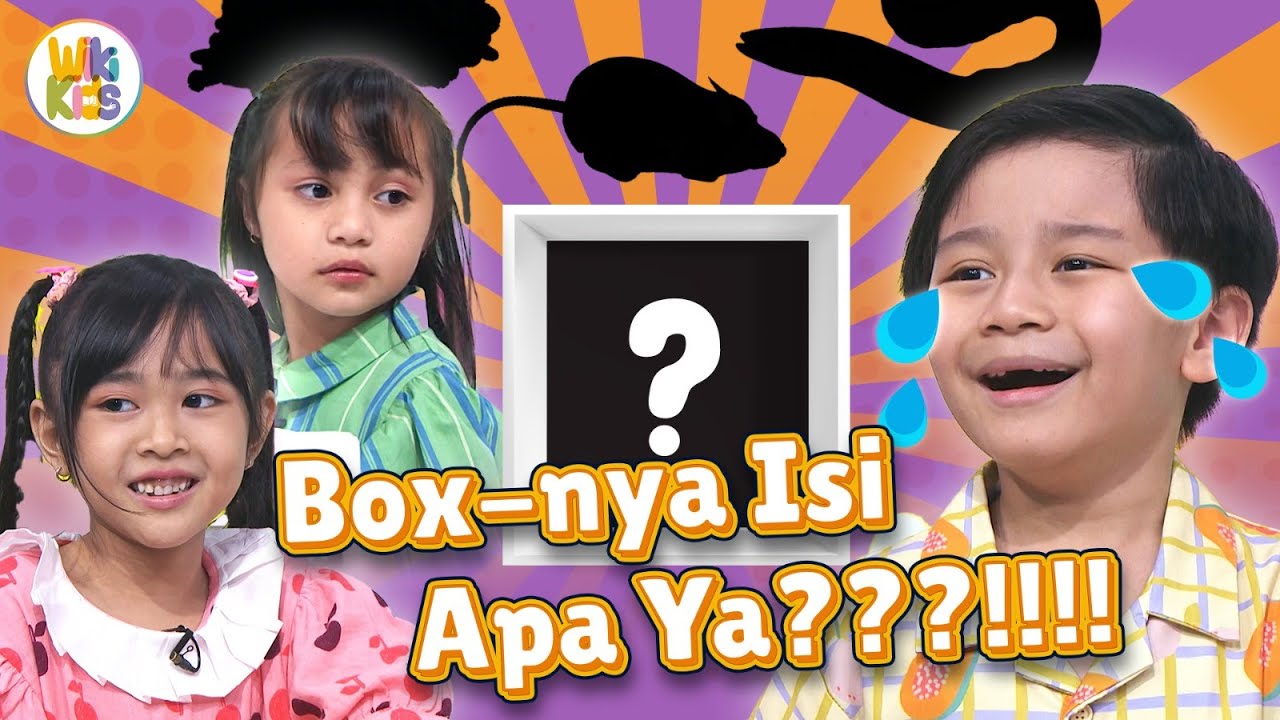 BOCIL TEBAK ISI BOX! Ada banget PANIKNYA! | #KidsGameWikiKids