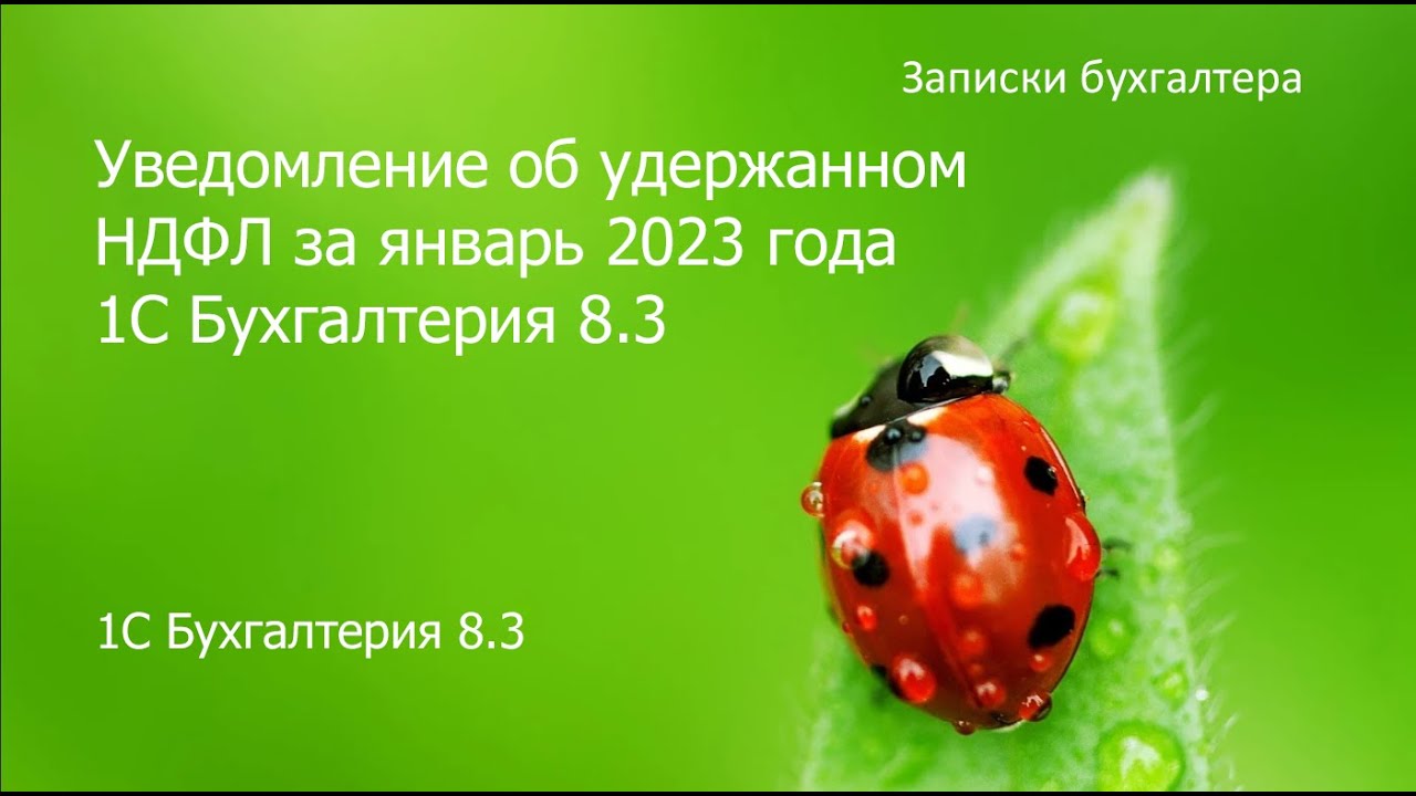 Уведомление об удержанном НДФЛ за январь 2023 года в 1С Бухгалтерия 8.3 ...