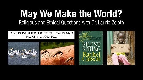 May We Make the World?: Religious and Ethical Questions with Dr. Laurie Zoloth - Burke Lectureship