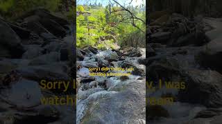 05: My kind of live stream #audio #nsture #nature #pahad #himachal #shoja #jibhi