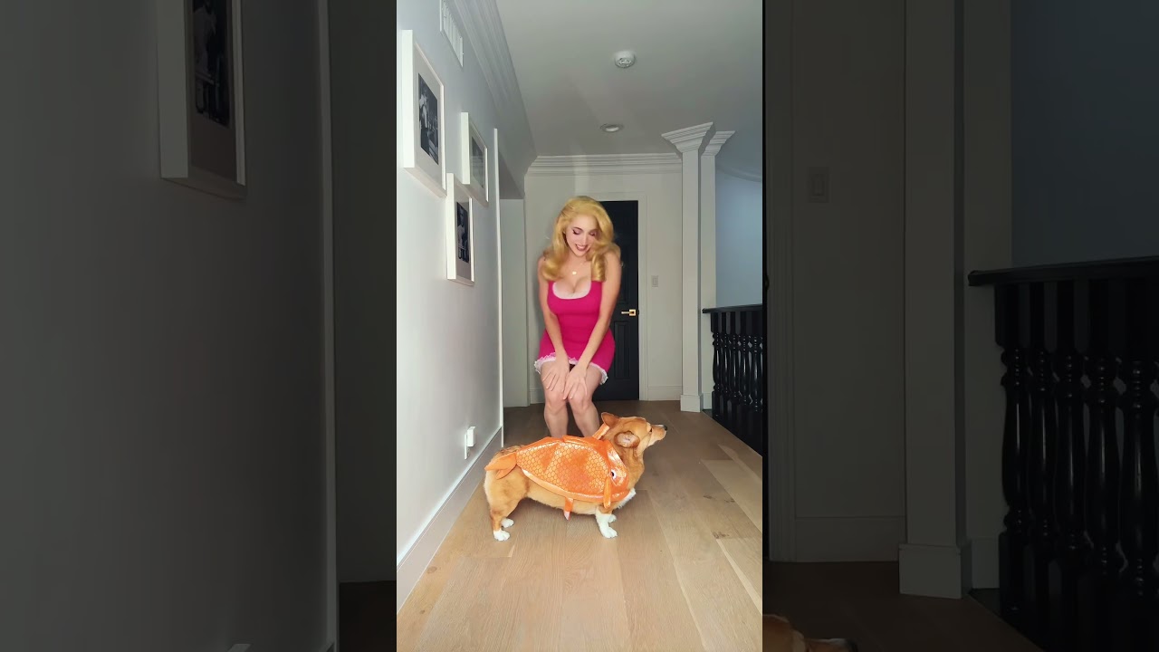 He loves it I swear #americandad #halloween #halloweencostume #francinesmith