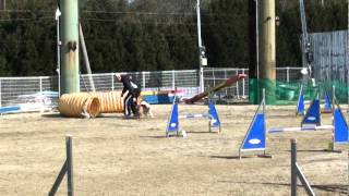 20120311チャリティｰｺﾝﾍﾟ　OP.mpg