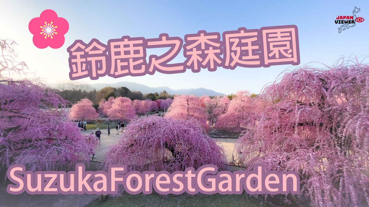 鈴鹿之森庭園 | 三重 | 鈴鹿 | 梅 | Suzuka Forest Garden