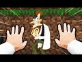 Placing Funny Pictures in Minecraft