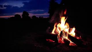 Relaxing Sounds - Campfire in the Wilds - 10 Hour Nature Sounds for Sleep by Calmsound 2,131 views 3 years ago 10 hours