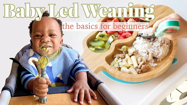 Baby Led Weaning || The Basics For Beginners!