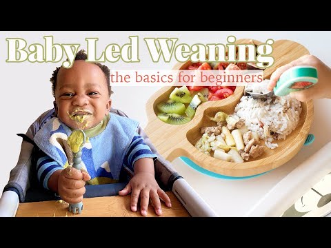 Baby Led Weaning || The Basics For Beginners! Baby Led Weaning || The Basics For Beginners!
