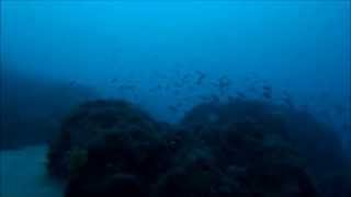 Koursaros 08022015 preview