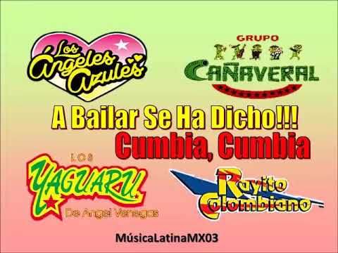 Cañaveral, Yaguaru, Angeles Azules, Rayito Colombiano, Cumbias del Recuerdo