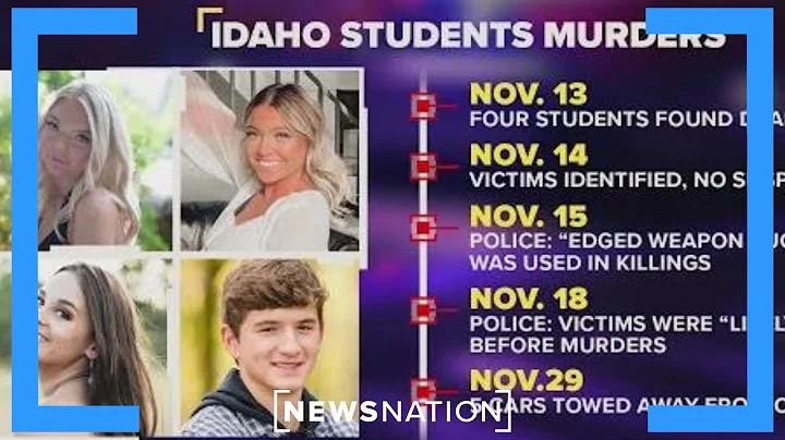 Idaho murder: What is the actual timeline for Etha...
