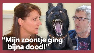 11 JAAR RUZIE door een HOND | Het Familiediner