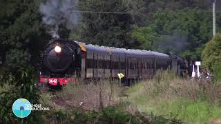 Steam Locomotives R766, 3642, 3801, 3001 & 3526 - Festival of Steam - March 2023