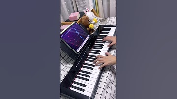 Can 61 Key Digital Piano Keyboard Play Summer? Terence piano keyboard 61 keys Beginner Piano
