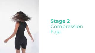 What are the 3 stages of Fajas?