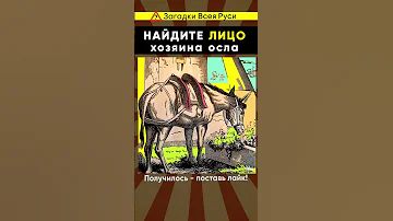 Сможешь найти хозяина осла? Оптическая иллюзия #shorts