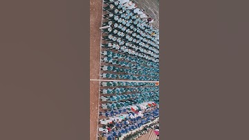 🇮🇳 Unforgettable 15 August Celebration in School! #schoolvideo #shorts