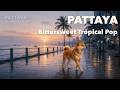 Shiba Inu in Pattaya — bittersweet tropical pop for night work|作業用BGM|พัทยา