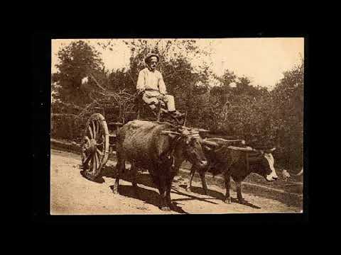 აფხაზური ხალხური სიმღერა \"ჲიშპაზური დჷსგჳაფხოჲტ\" (ნუთუ მე ვარ დამნაშავე)