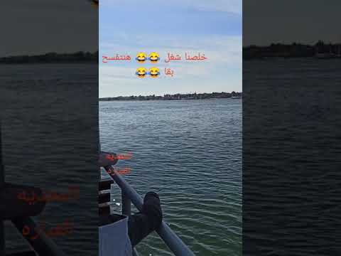 قطار النوم رحله الاقصر وادى الكباش معبد حتشبسوت ومعبد هوبا