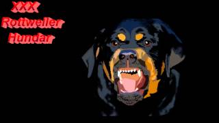 xxx Rottweiler hundar, Blússandi