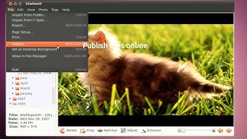 Shotwell 0.7 - Ubuntu Maverick Movies