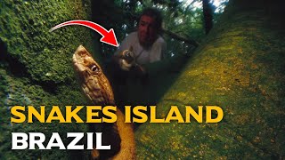 The Deadly Secret of Brazil's Ilha da Queimada Grande | Snake island brazil
