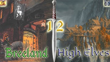 The March to Tharbad - Bree & High Elves Hotseat ep 12 - Divide & Conquer 4.5, Medieval 2 Total War