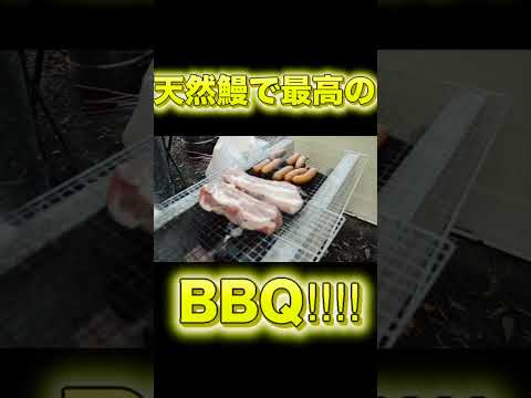 天然ウナギのBBQが最高すぎる‼︎