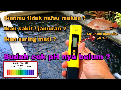 Video: Adakah kuprum oksida mengubah ph air?